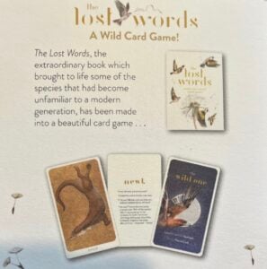 The Lost Words Card Game