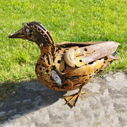 ‘Quirky Duck'