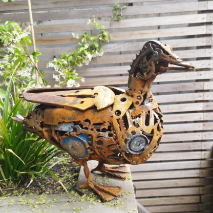 ‘Quirky Duck'