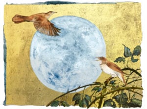 ‘Book of Birds – Nightingale’