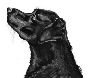 ‘Best Friend’  Etching