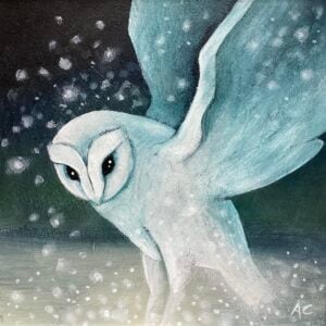 ‘Winter Owl’