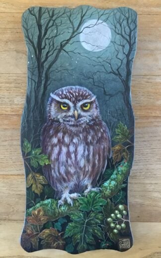 'Little Owl'