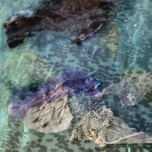 ‘Seals and Seaweed’