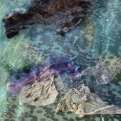 ‘Seals and Seaweed’