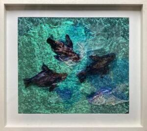 ‘Seals and Seaweed’