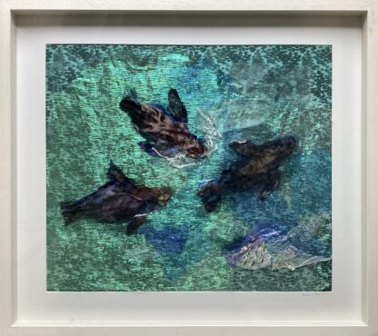 ‘Seals and Seaweed’
