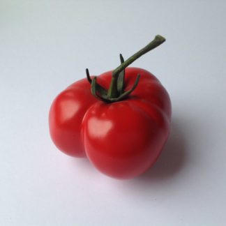 Ceramic Red Tomato