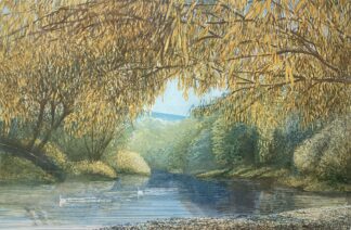 ‘Swans at Bredwardine'