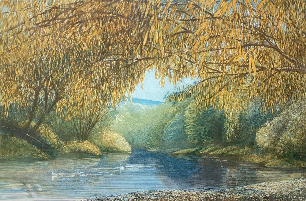 ‘Swans at Bredwardine'