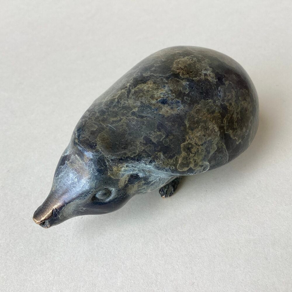 'Hedgehog' Bronze