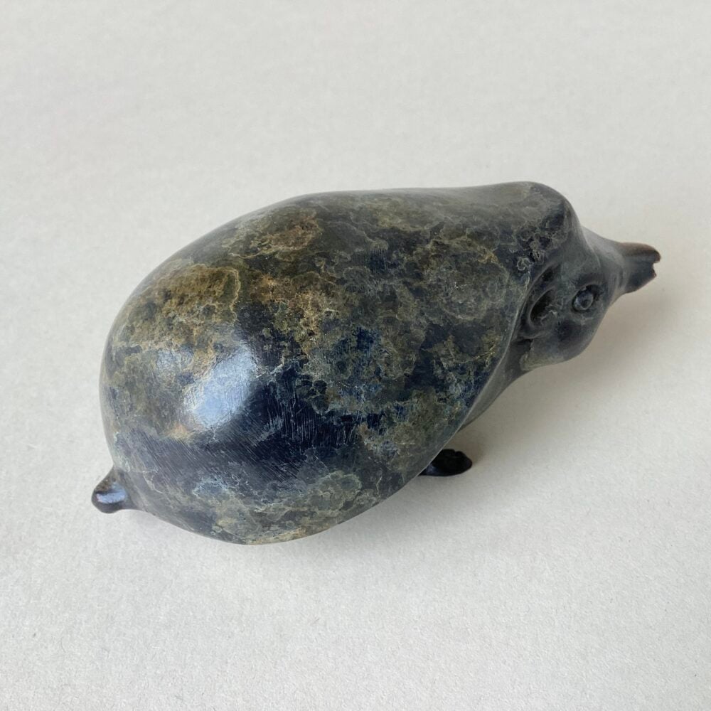 'Hedgehog' Bronze