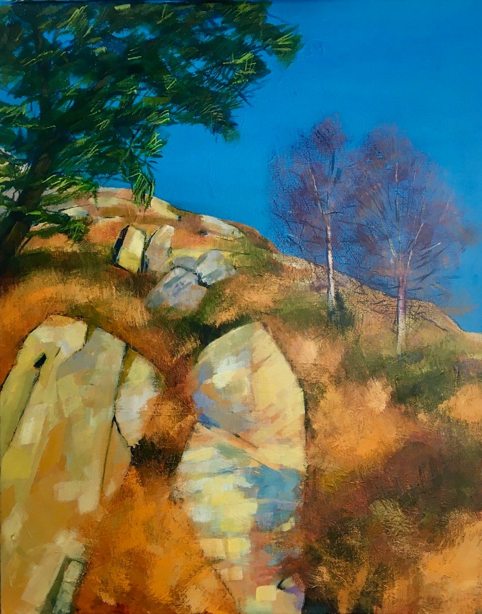 'Rocks at the Elan Valley'