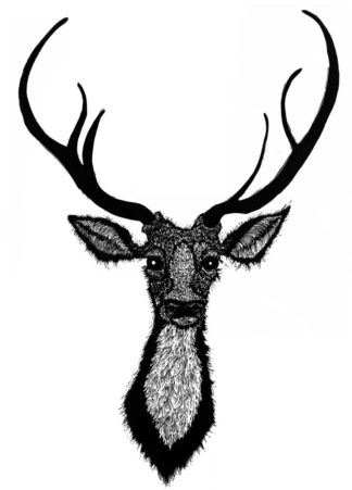 ‘My Deer’  Linocut