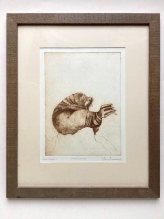 ‘Young Walrus’