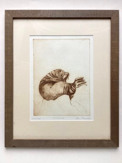 ‘Young Walrus’