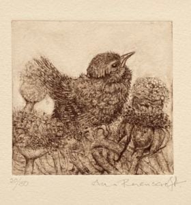 Fledgling Wren and Seed Heads II
