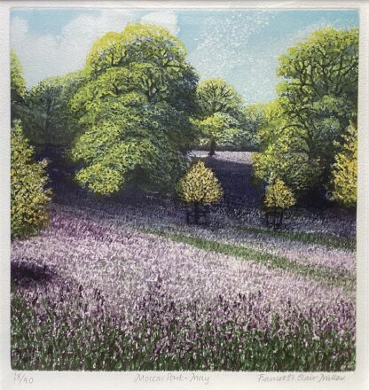 ‘Moccas Park - May’