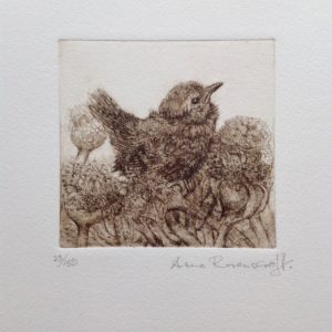 Fledgling Wren and Seed Heads II