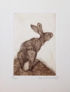 Hare Looking Up  Etching