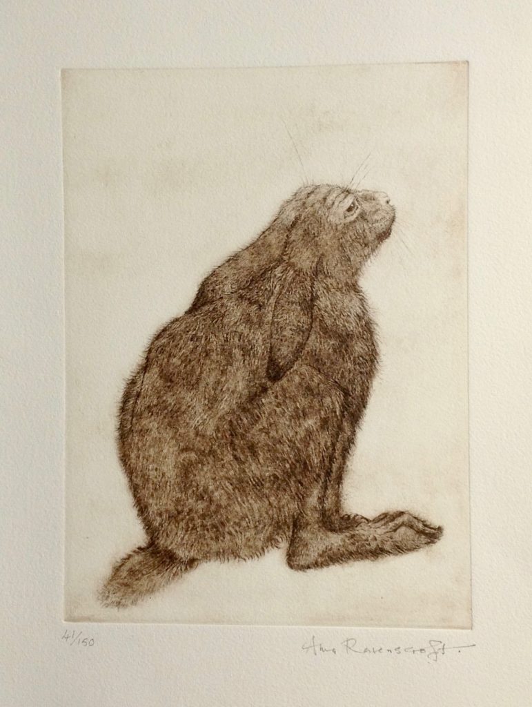 'Young Hare' Etching