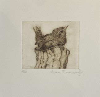‘Fledgling Wren on Post’