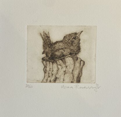 ‘Fledgling Wren on Post’
