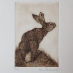 Hare Looking Up