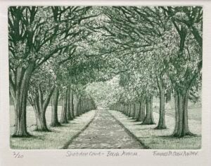 ‘Shobdon Court – Beech Avenue’