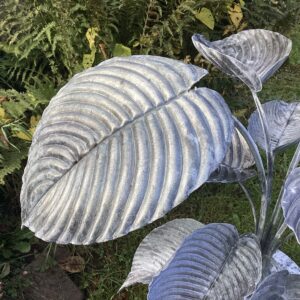 ‘Hosta’ Sculpture