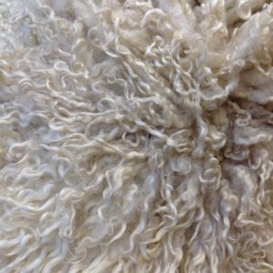 Cotswold Lion Fleece Rug