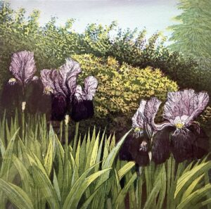 ‘Irises’