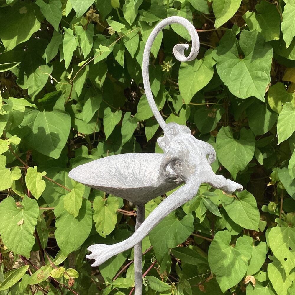 'Frog Bird Feeder Spike'