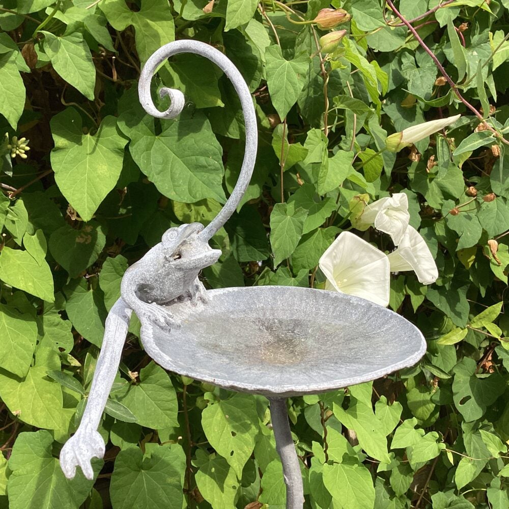 'Frog Bird Feeder Spike'