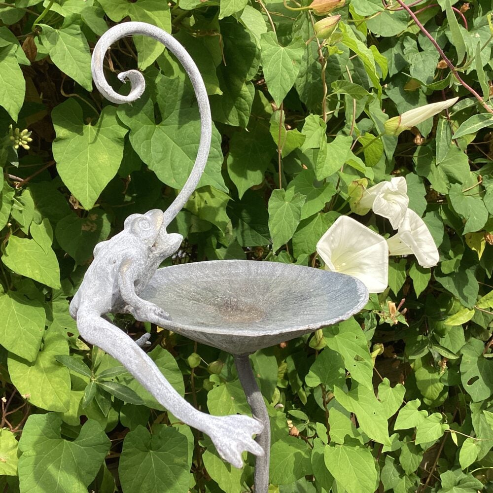 'Frog Bird Feeder Spike'