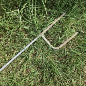 'Frog Bird Feeder Spike'