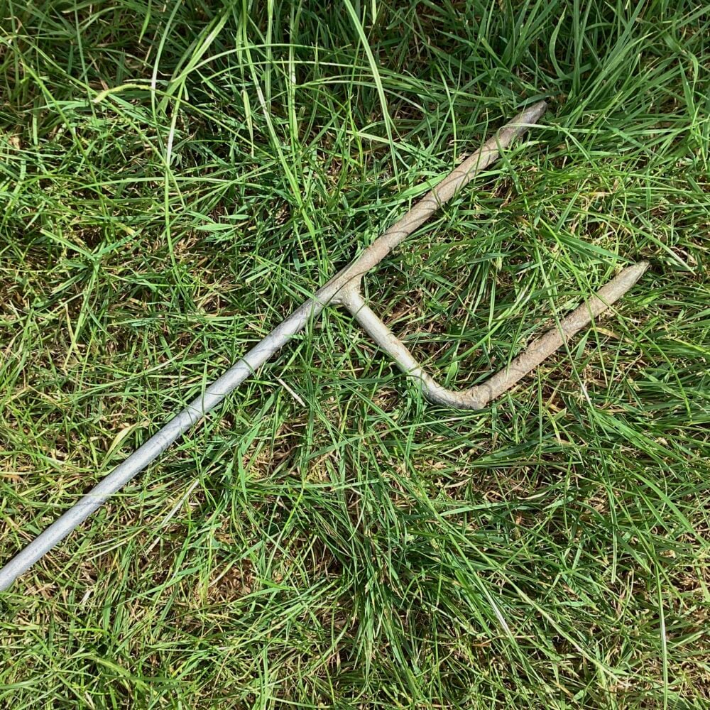 'Frog Bird Feeder Spike'