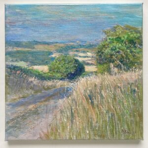 ‘Blue Hills of Shropshire’