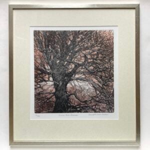 ‘Moccas Park Herefordshire – December’