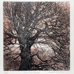 ‘Moccas Park Herefordshire – December’