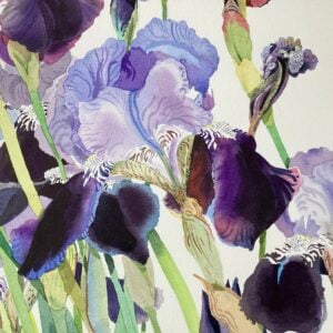 Detail of 'Iris Border’