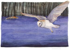 'Enter the Wood with Care'