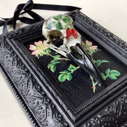 ‘Wild Rose Crow’