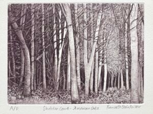 ‘Shobdon Court – American Oaks’