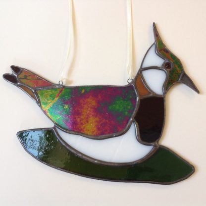 Lapwing in Stained Glass
