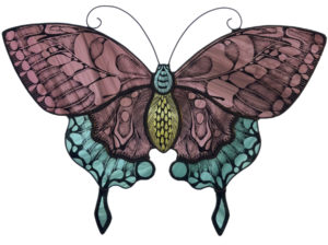 ‘Butterfly’