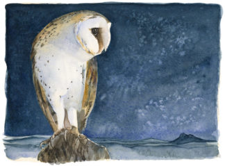 The Lost Spells - Barn Owl