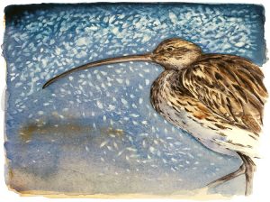 The Lost Spells – Curlew
