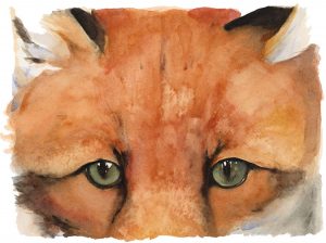 The Lost Spells – Red Fox