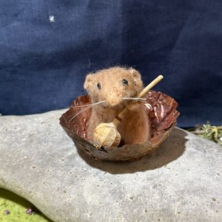 'Coracle Mouse'